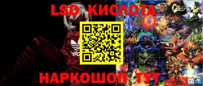 mdma Аргун